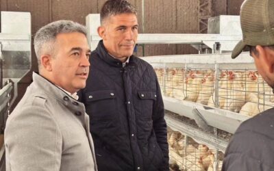 Visitamos la Avícola “El Milagro”